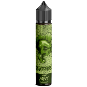 Revoltage – Aroma Magic Mint 15 ml